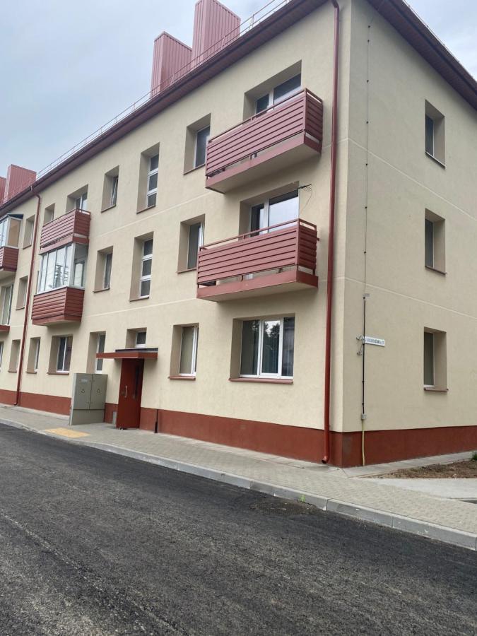 Studio Flat In Kėdainiai Exterior foto